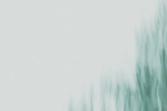 Kasyno Wild Tornado Wsparcie